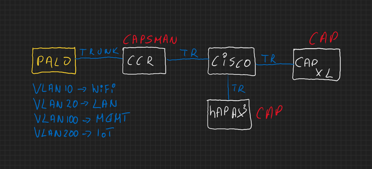 capsman schemat